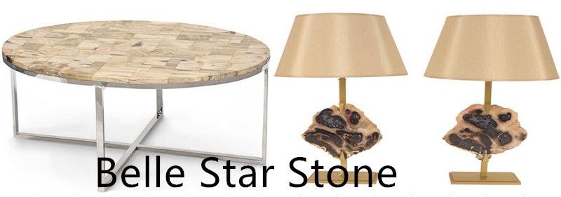 petrified wood gemstone table top & dest lamp.jpg