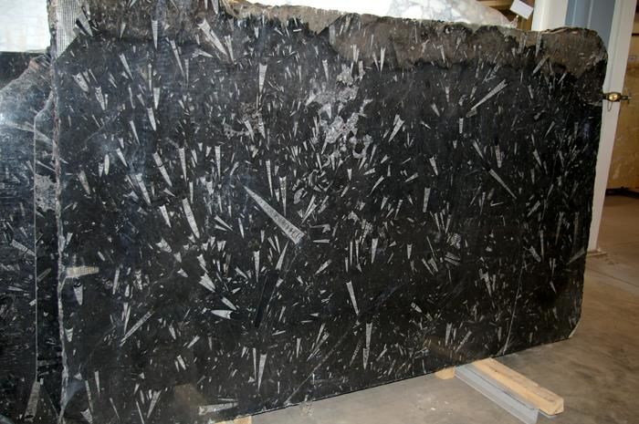 Polished Black Fossil Marble Slab Tile1).jpg