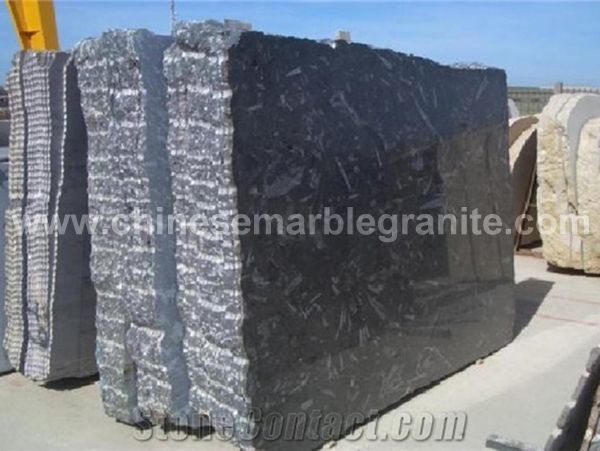 fossil-black-marble-slab-tiles-black-marble-tiles-slabs-morocco-p2856-1b.jpg