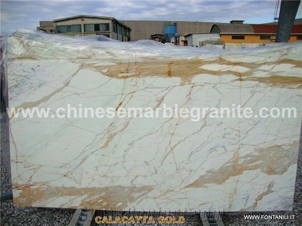 calacatta-gold-marble-slab-italy-white-marble-p47495-1b.jpg
