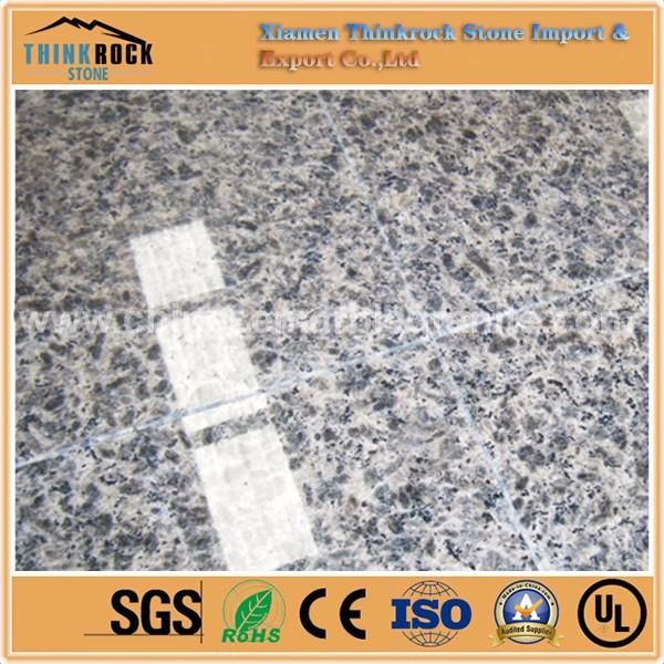 stylish appeal Leopard Skin grey granite customized slabs for star hotels global suppliers.jpg