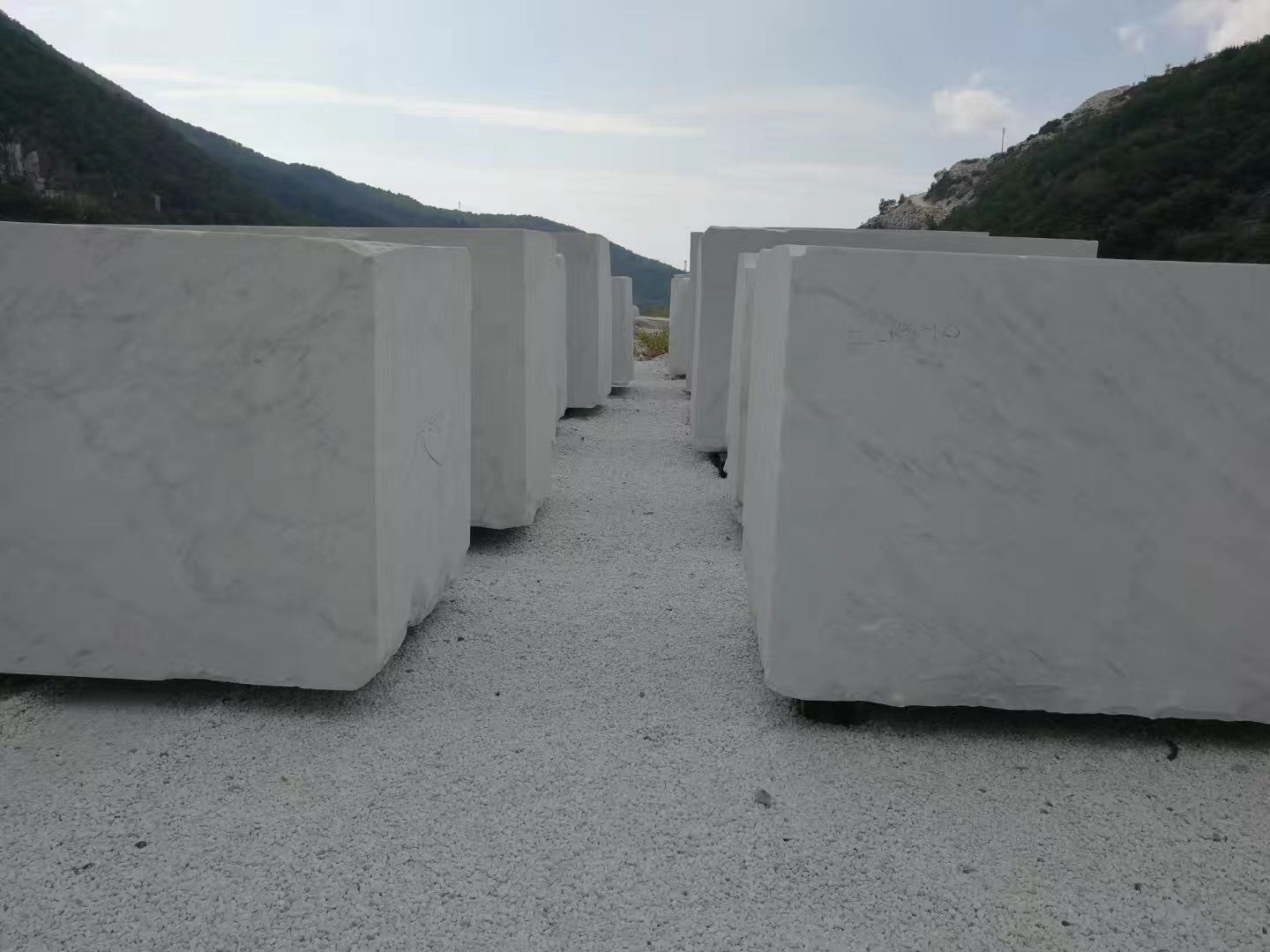 Bianco Carrara (2).jpg