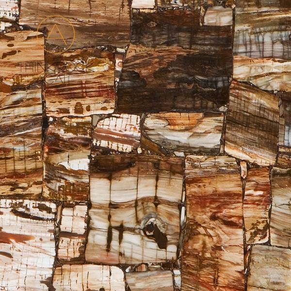 Brown Petrified Wood 03.jpg