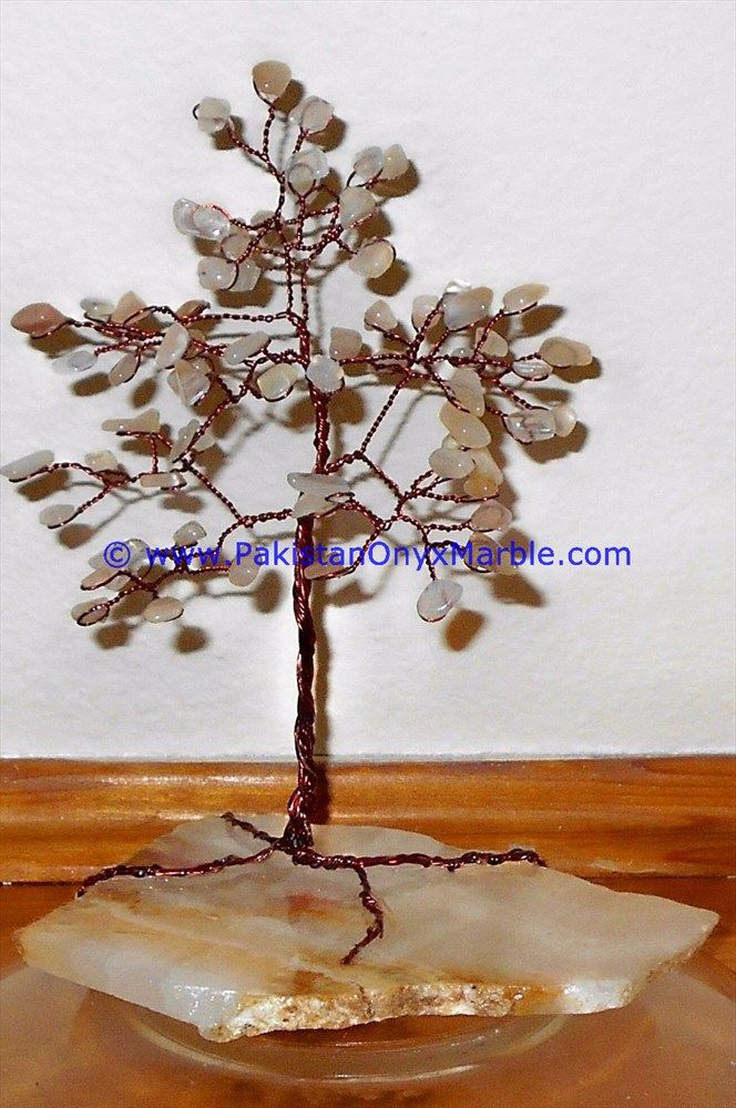 Onyx christmas grapes cactus tree-17