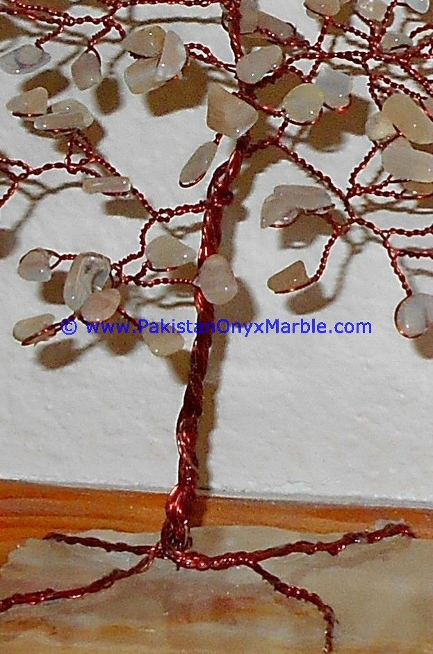 Onyx christmas grapes cactus tree-19