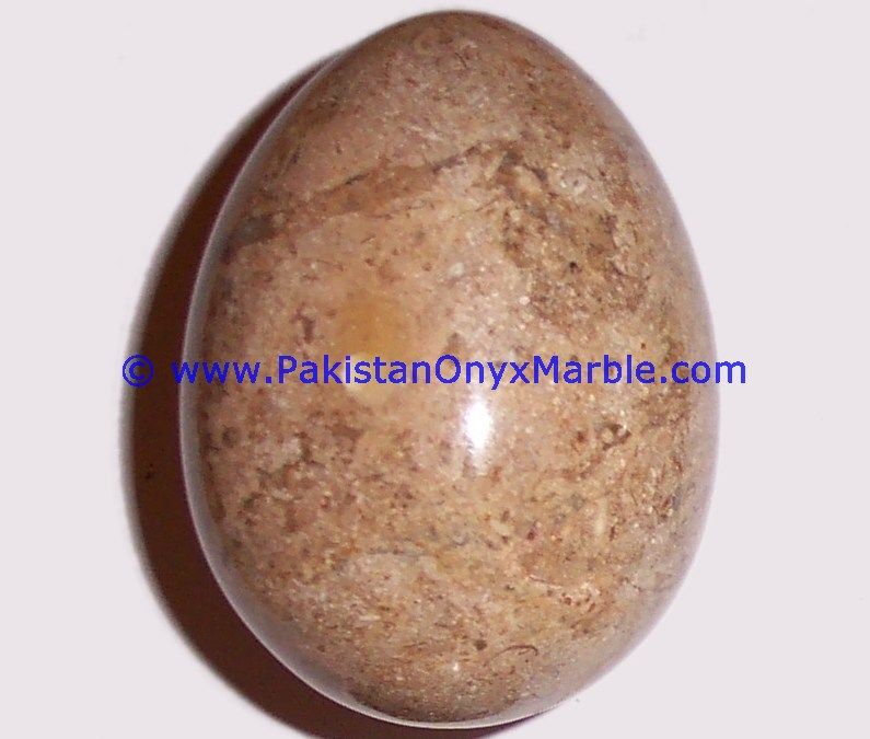 Fossil Corel marble Hancarved Natural stone Egg-01