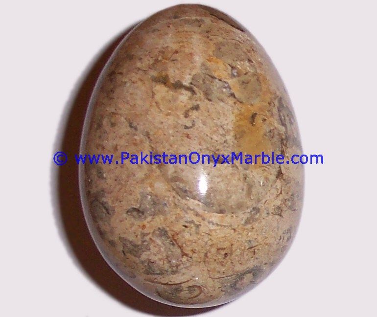 Fossil Corel marble Hancarved Natural stone Egg-02