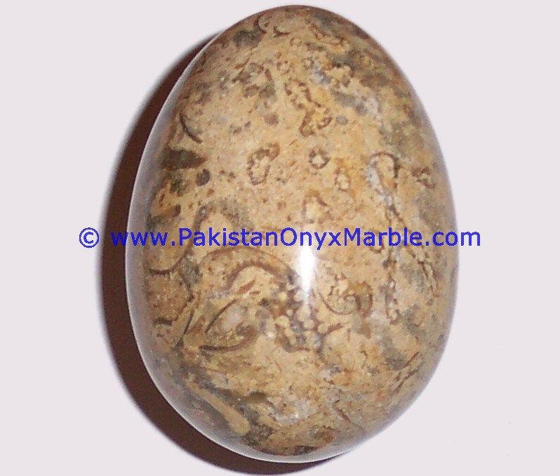 Fossil Corel marble Hancarved Natural stone Egg-03