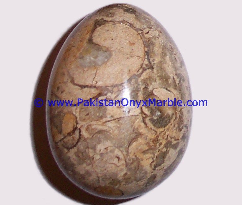 Fossil Corel marble Hancarved Natural stone Egg-04