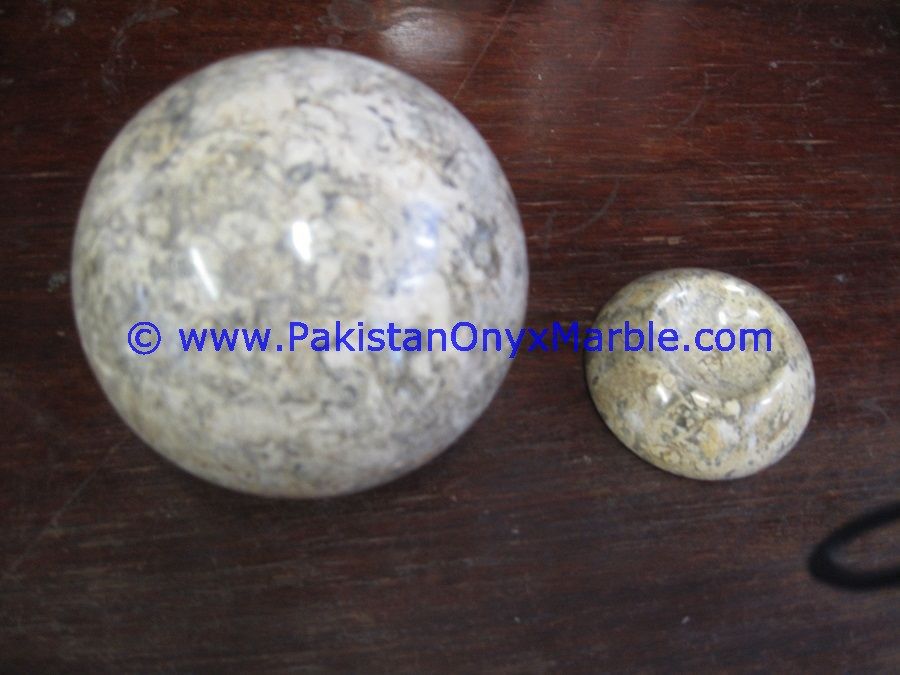 Fossil Corel Marble Sphere Handcarved Round Ball-03