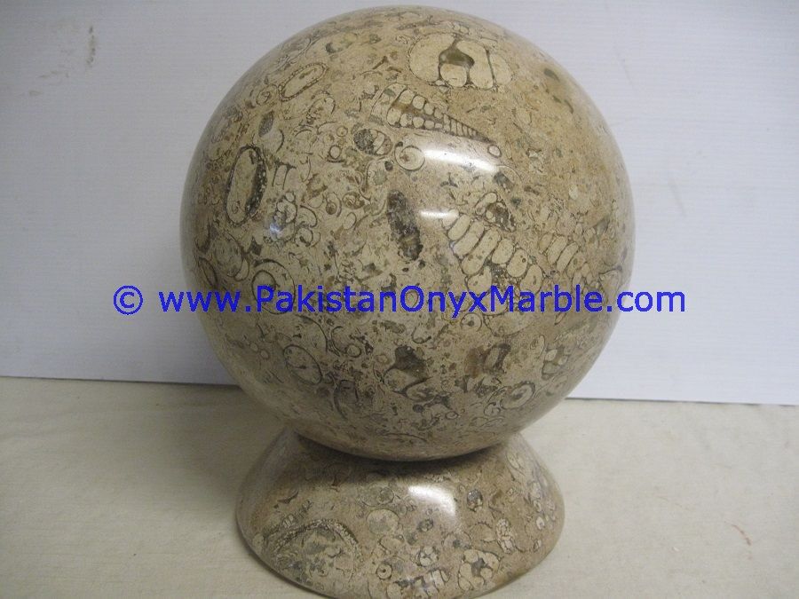 Fossil Corel Marble Sphere Handcarved Round Ball-04