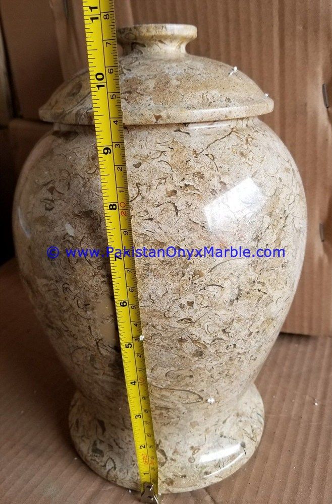 fossil corel Marble Jars Trinket Container-02