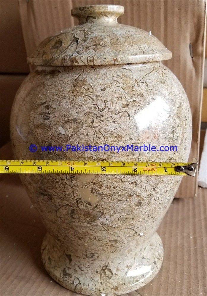 fossil corel Marble Jars Trinket Container-04
