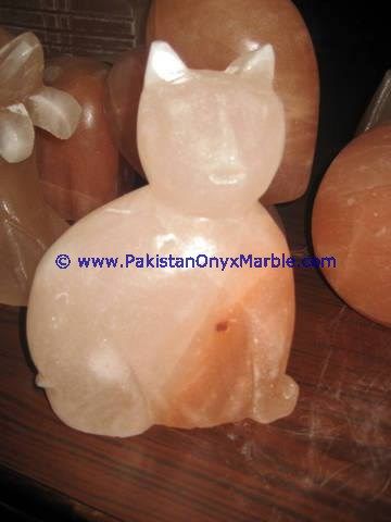 Animals Crafted Salt Lamps-03