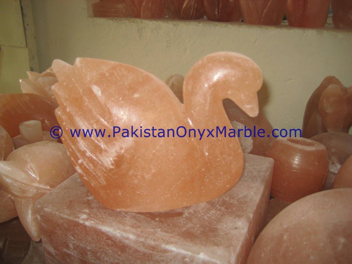 Animals Crafted Salt Lamps-04