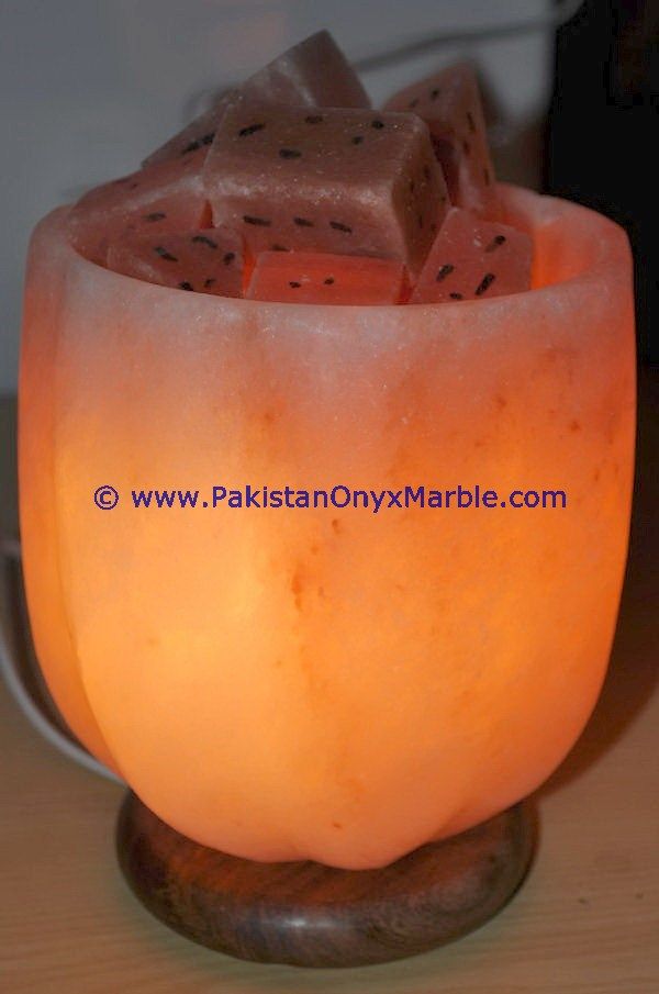 himalayan ionic salt crystal bowl lamp-24