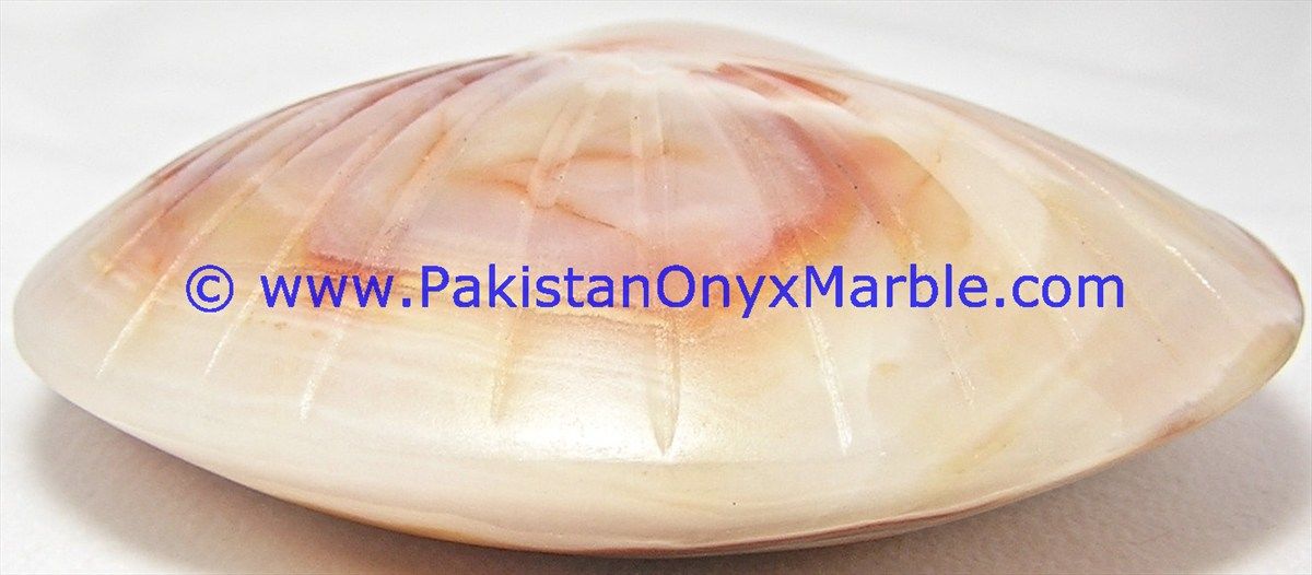Onyx Carved Shell Statue-02
