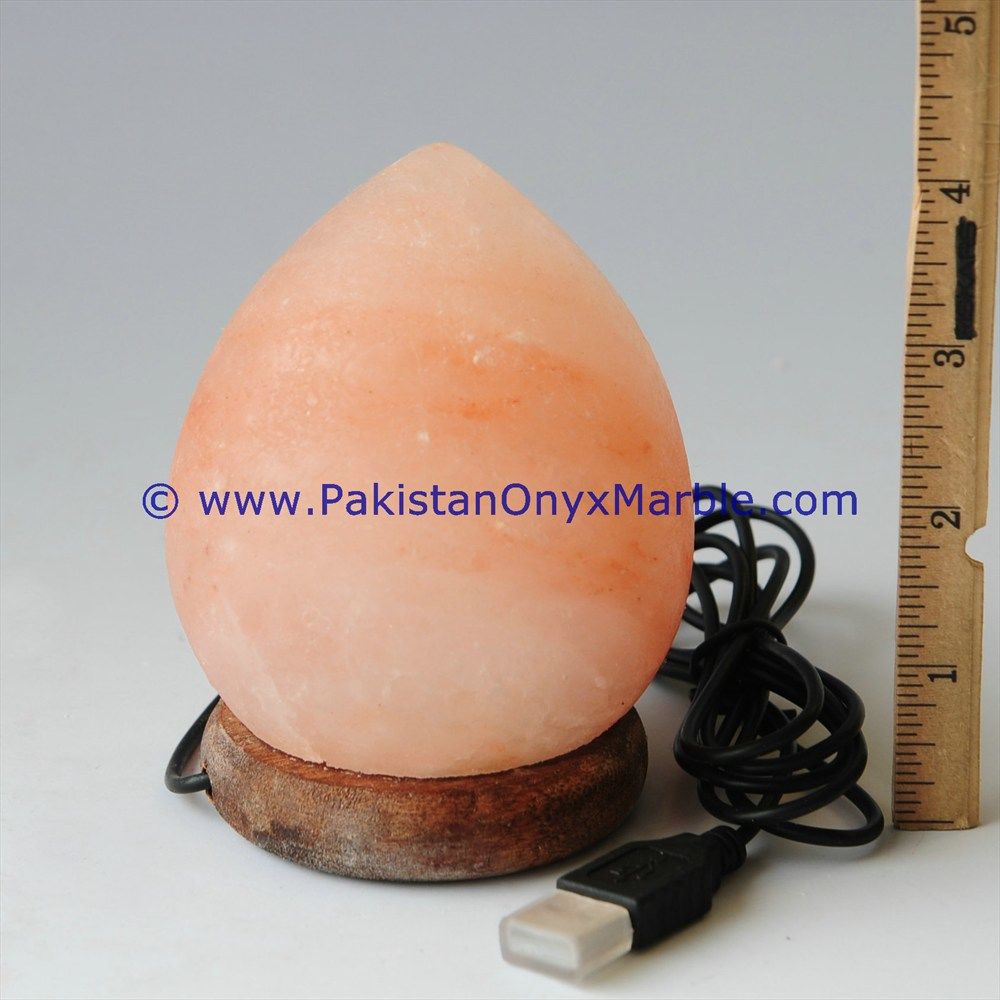 Himalayan USB Egg Salt Lmaps-01