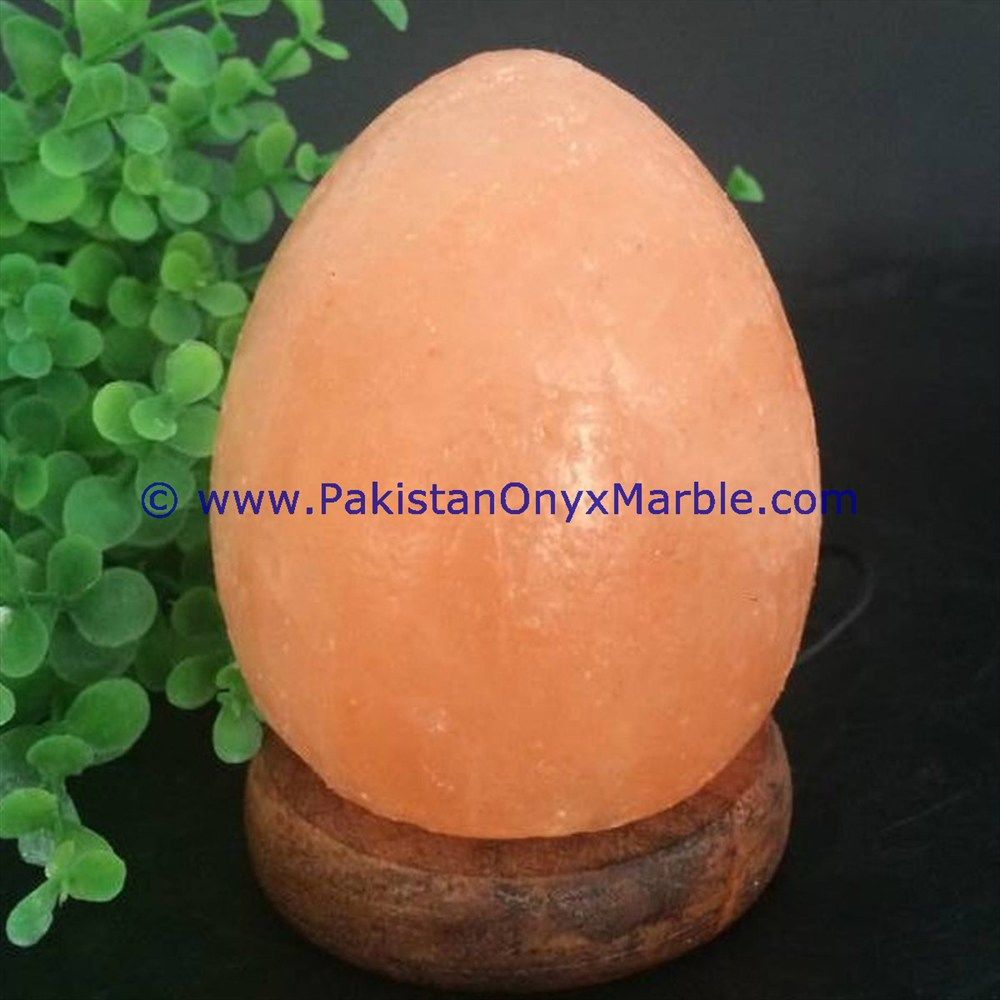 Himalayan USB Egg Salt Lmaps-02