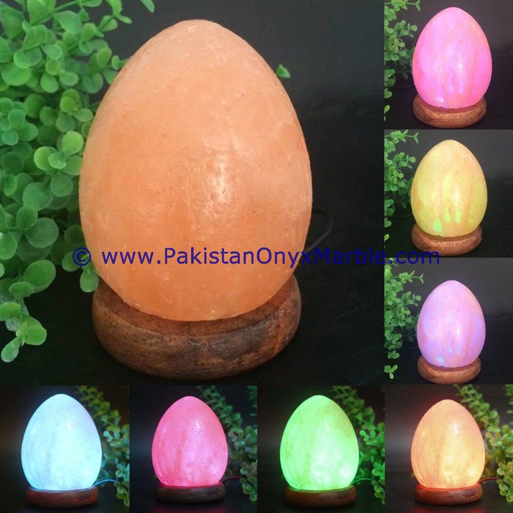 Himalayan USB Egg Salt Lmaps-04
