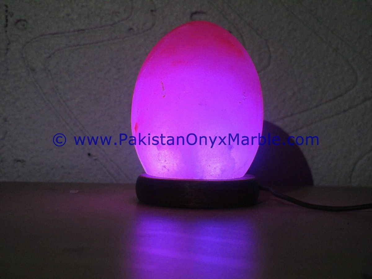 Himalayan USB Egg Salt Lmaps-05