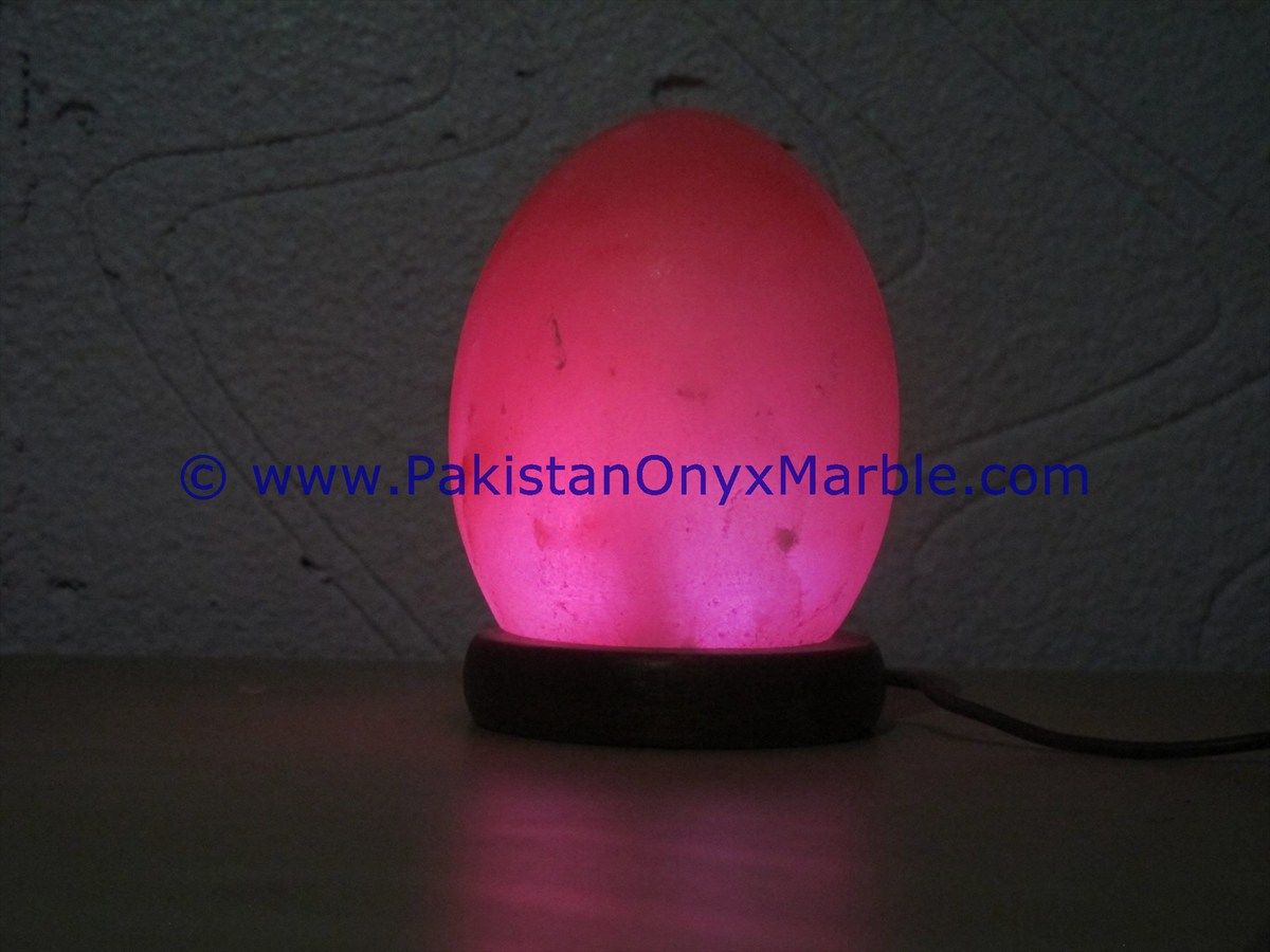 Himalayan USB Egg Salt Lmaps-15
