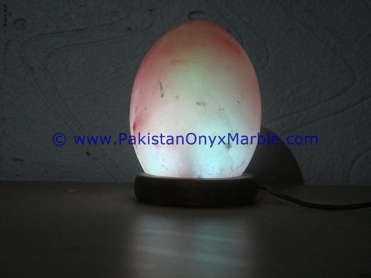Himalayan USB Egg Salt Lmaps-16