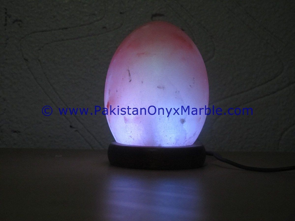 Himalayan USB Egg Salt Lmaps-17