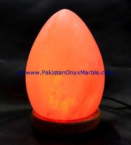 Himalayan USB Egg Salt Lmaps-18
