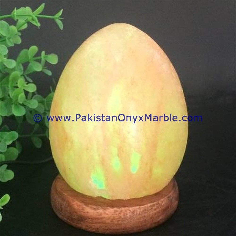 Himalayan USB Egg Salt Lmaps-21