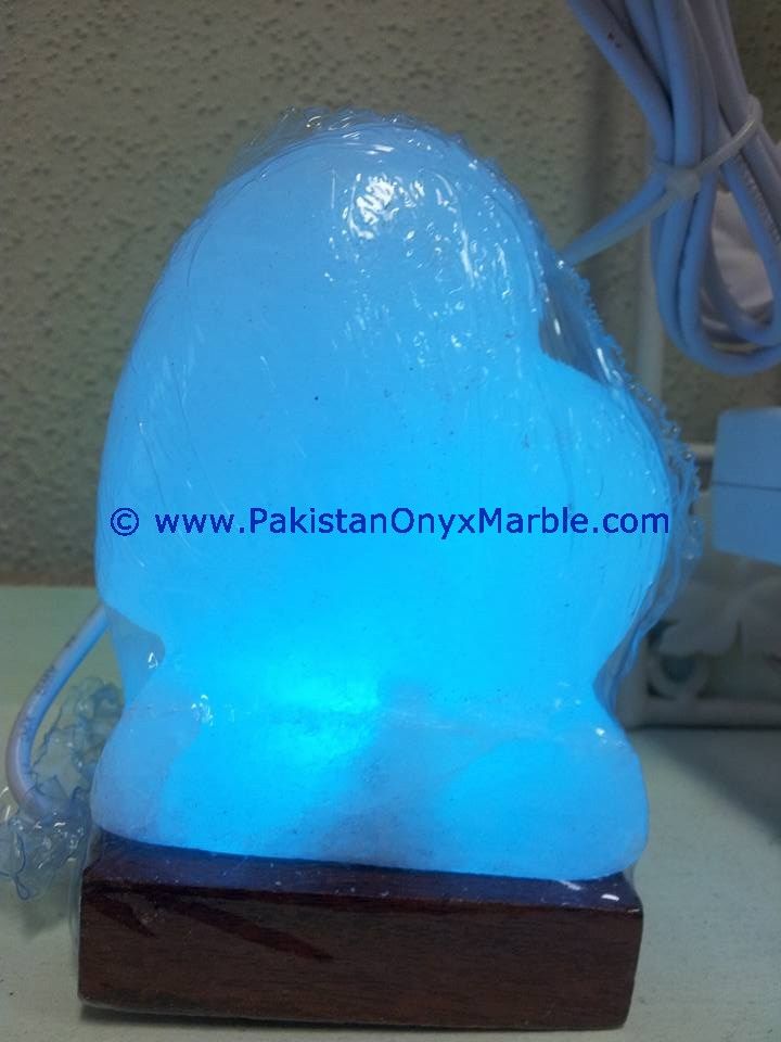 Himalayan USB Heart Salt Lmaps-05