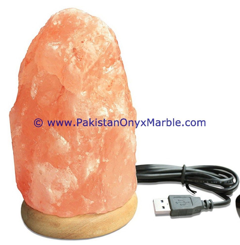 Himalayan USB Natural Salt Lmaps-07