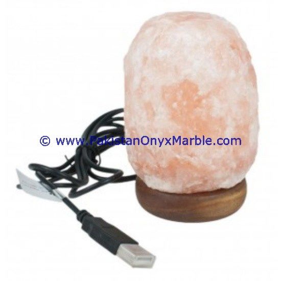 Himalayan USB Natural Salt Lmaps-08