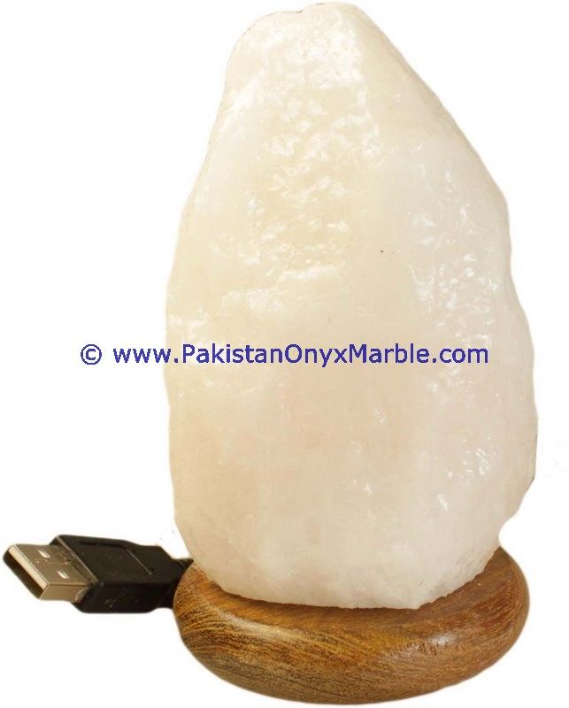 Himalayan USB Natural Salt Lmaps-20