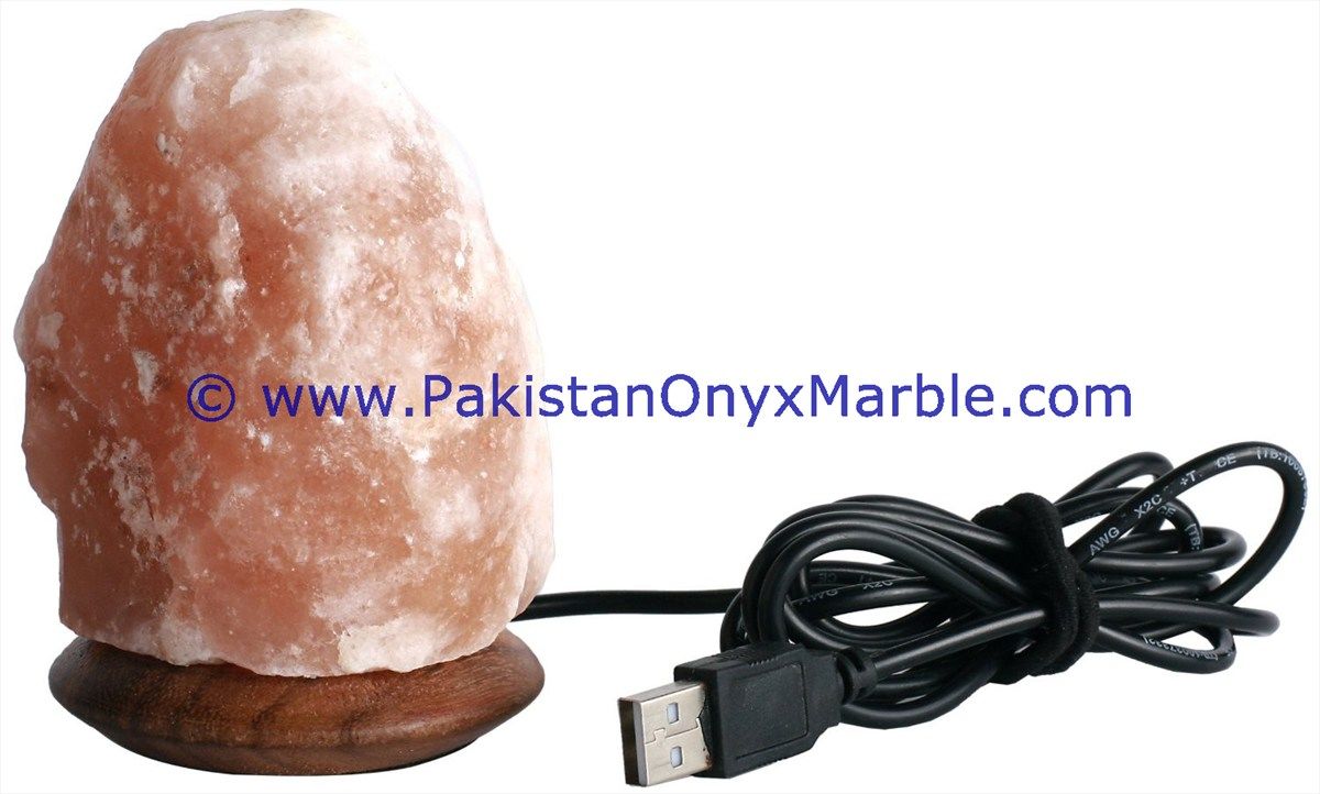 Himalayan USB Natural Salt Lmaps-22