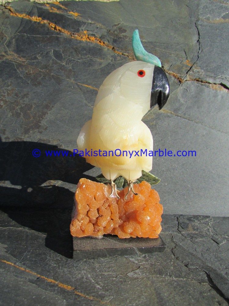 Onyx Carved Parrot Statue-22