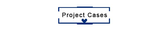 project case.jpg
