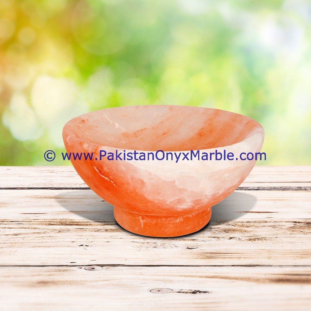 Himalayan Salt Bowls & Dishes-12