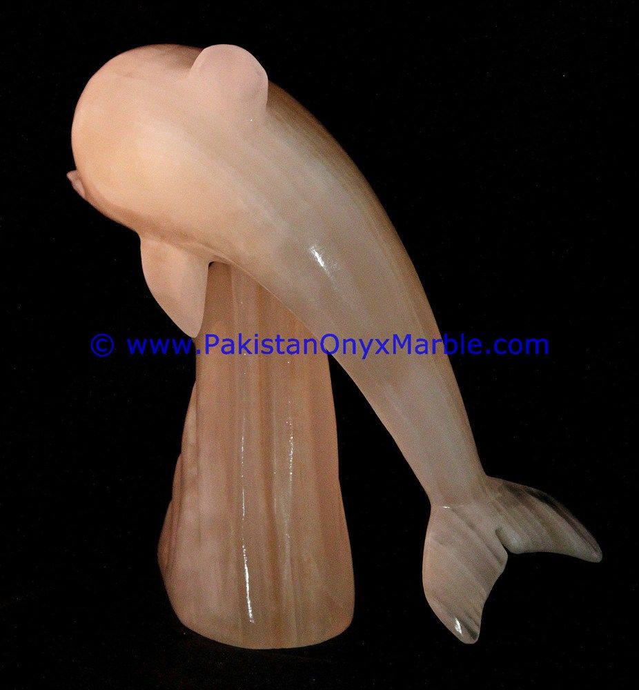  white Onyx Dolphins fish Handcarved statue sculpture figurine-14