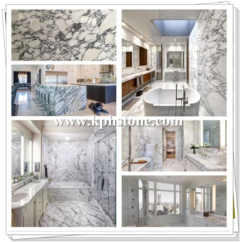 Arabescato Carrara Marble.jpg