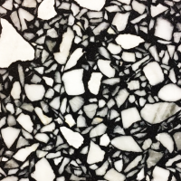 Black and White Terrazzo Tile Design