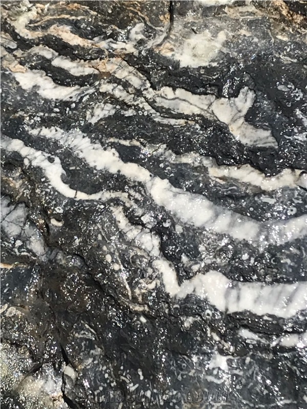 Orbicular Black Marble-Australia Black Marble Quarry