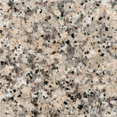 Crema Terra Granite Quarry