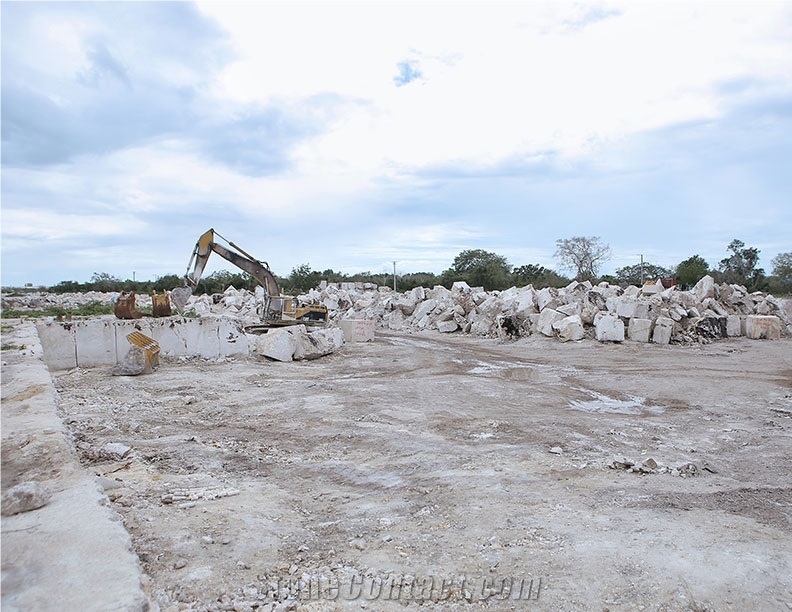 Caribbean Coral - Dominican White Coral Stone Quarry