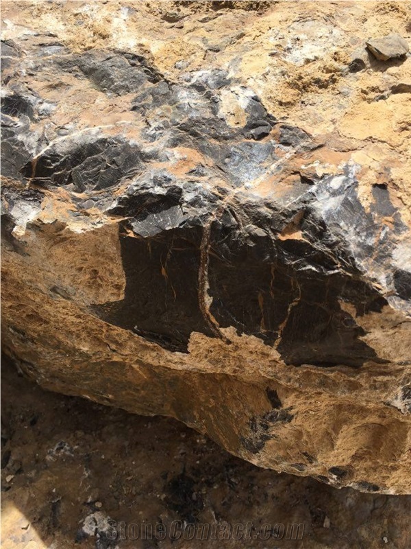 Schirmann Black Aziza - Noir Aziza, Sahara Noir Marble, Black Sahara Marble Quarry