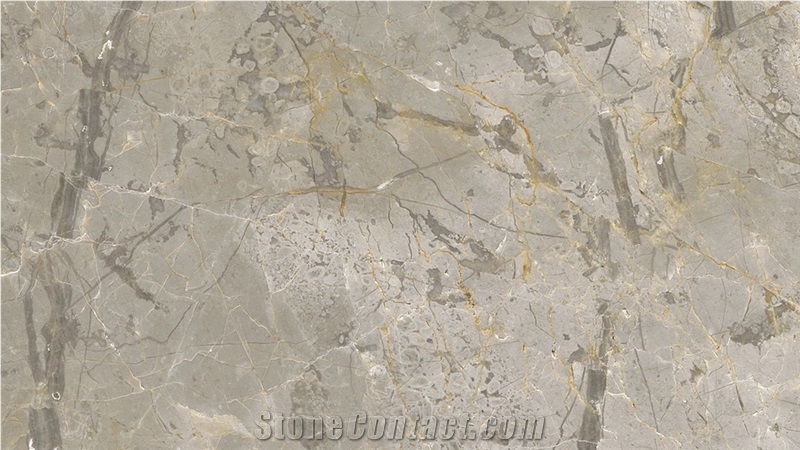 Spalya Silver Marble Quarry