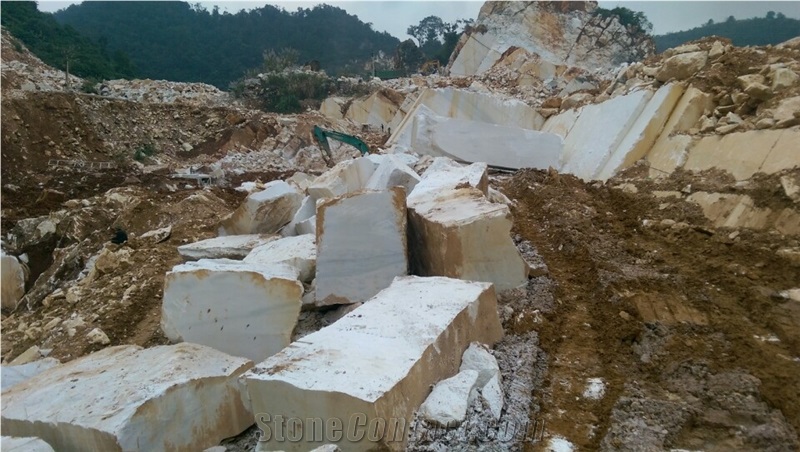 Vietnam Carrara White Marble Quarry