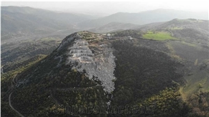 Netmer Marble Ojo Gris Marble Quarry