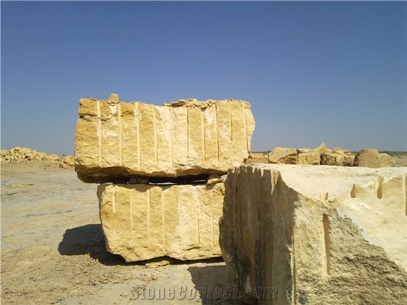 Fossil Yellow Wood Marble Quarry