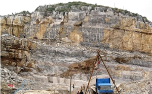 Ancient Wooden Marble - Palisandro Blue Marble Quarry
